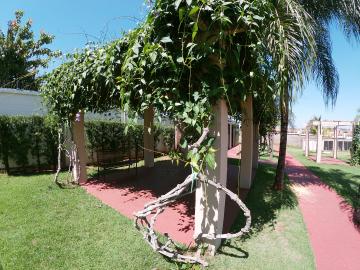 Alugar Apartamento / Padr&atilde;o em S&atilde;o Jos&eacute; do Rio Preto R$ 1.000,00 - Foto 18