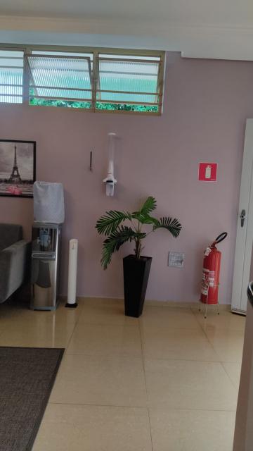 Alugar Casa / Padr&atilde;o em S&atilde;o Jos&eacute; do Rio Preto R$ 5.800,00 - Foto 13