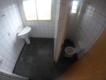 Alugar Apartamento / Padr&atilde;o em S&atilde;o Jos&eacute; do Rio Preto R$ 700,00 - Foto 11