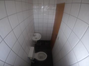 Alugar Apartamento / Padr&atilde;o em S&atilde;o Jos&eacute; do Rio Preto R$ 700,00 - Foto 13