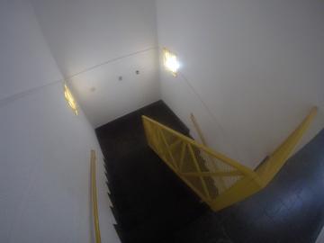 Alugar Apartamento / Padr&atilde;o em S&atilde;o Jos&eacute; do Rio Preto R$ 700,00 - Foto 14