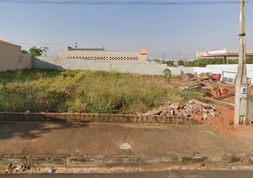 Terreno / Padr&atilde;o em S&atilde;o Jos&eacute; do Rio Preto 