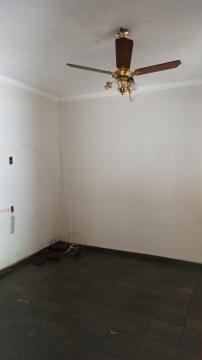 Alugar Casa / Padr&atilde;o em S&atilde;o Jos&eacute; do Rio Preto R$ 800,00 - Foto 19