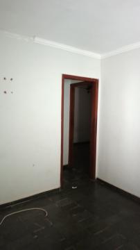 Alugar Casa / Padr&atilde;o em S&atilde;o Jos&eacute; do Rio Preto R$ 800,00 - Foto 14