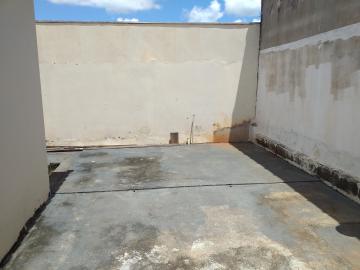 Alugar Casa / Padr&atilde;o em S&atilde;o Jos&eacute; do Rio Preto R$ 780,00 - Foto 12