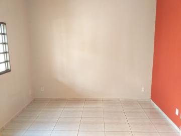 Alugar Casa / Padr&atilde;o em S&atilde;o Jos&eacute; do Rio Preto R$ 780,00 - Foto 7