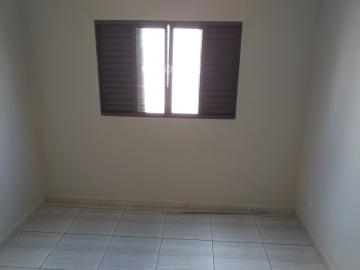 Alugar Casa / Padr&atilde;o em S&atilde;o Jos&eacute; do Rio Preto R$ 780,00 - Foto 14