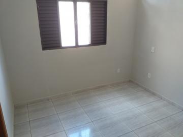 Alugar Casa / Padr&atilde;o em S&atilde;o Jos&eacute; do Rio Preto R$ 780,00 - Foto 16