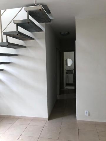 Alugar Apartamento / Cobertura em S&atilde;o Jos&eacute; do Rio Preto R$ 1.500,00 - Foto 4