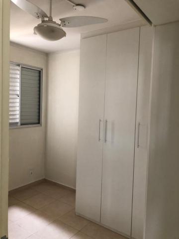 Alugar Apartamento / Cobertura em S&atilde;o Jos&eacute; do Rio Preto R$ 1.500,00 - Foto 7