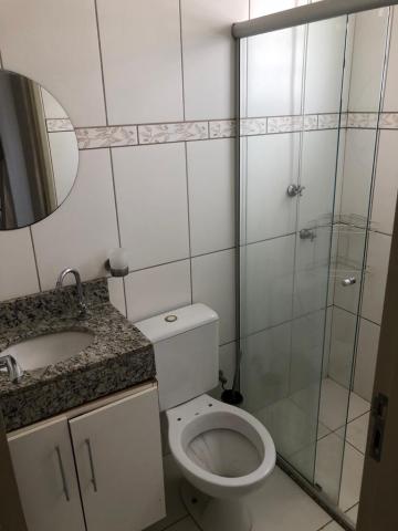 Alugar Apartamento / Cobertura em S&atilde;o Jos&eacute; do Rio Preto R$ 1.500,00 - Foto 11