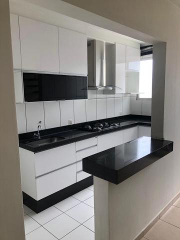 Alugar Apartamento / Cobertura em S&atilde;o Jos&eacute; do Rio Preto. apenas R$ 1.500,00