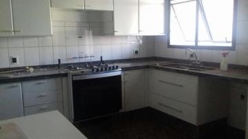 Alugar Apartamento / Padr&atilde;o em S&atilde;o Jos&eacute; do Rio Preto R$ 1.300,00 - Foto 8