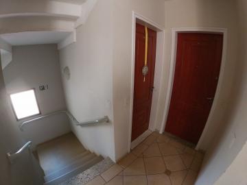 Alugar Apartamento / Padr&atilde;o em S&atilde;o Jos&eacute; do Rio Preto R$ 700,00 - Foto 7
