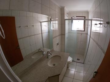 Alugar Apartamento / Padr&atilde;o em S&atilde;o Jos&eacute; do Rio Preto R$ 700,00 - Foto 18