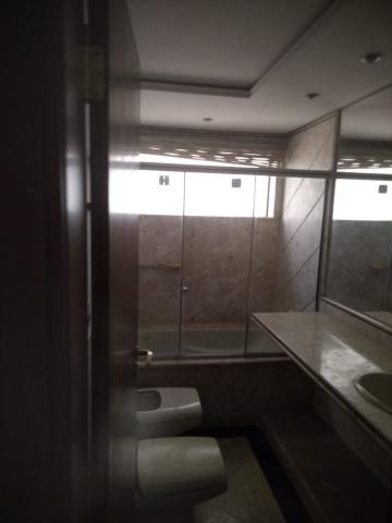 Alugar Apartamento / Padr&atilde;o em S&atilde;o Jos&eacute; do Rio Preto R$ 1.200,00 - Foto 10