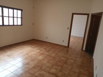 Alugar Casa / Padr&atilde;o em S&atilde;o Jos&eacute; do Rio Preto R$ 2.000,00 - Foto 12