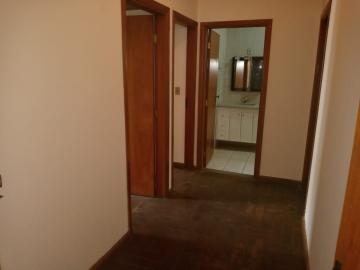 Alugar Casa / Padr&atilde;o em S&atilde;o Jos&eacute; do Rio Preto R$ 2.000,00 - Foto 20