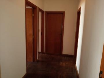 Alugar Casa / Padr&atilde;o em S&atilde;o Jos&eacute; do Rio Preto R$ 2.000,00 - Foto 5