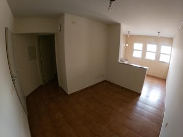 Alugar Apartamento / Padr&atilde;o em S&atilde;o Jos&eacute; do Rio Preto R$ 550,00 - Foto 3