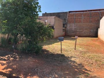 Terreno / Padr&atilde;o em S&atilde;o Jos&eacute; do Rio Preto 