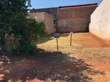 Comprar Terreno / Padr&atilde;o em S&atilde;o Jos&eacute; do Rio Preto R$ 215.000,00 - Foto 3