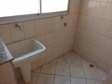 Alugar Apartamento / Padr&atilde;o em S&atilde;o Jos&eacute; do Rio Preto R$ 1.000,00 - Foto 10