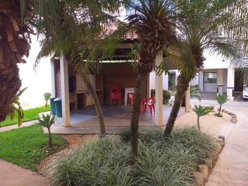 Alugar Apartamento / Padr&atilde;o em S&atilde;o Jos&eacute; do Rio Preto R$ 1.000,00 - Foto 13