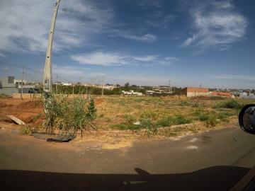 Terreno / Padr&atilde;o em Bady Bassitt 
