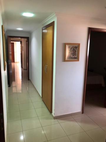 Alugar Apartamento / Padr&atilde;o em S&atilde;o Jos&eacute; do Rio Preto R$ 3.000,00 - Foto 9