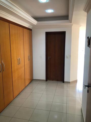 Alugar Apartamento / Padr&atilde;o em S&atilde;o Jos&eacute; do Rio Preto R$ 3.000,00 - Foto 15