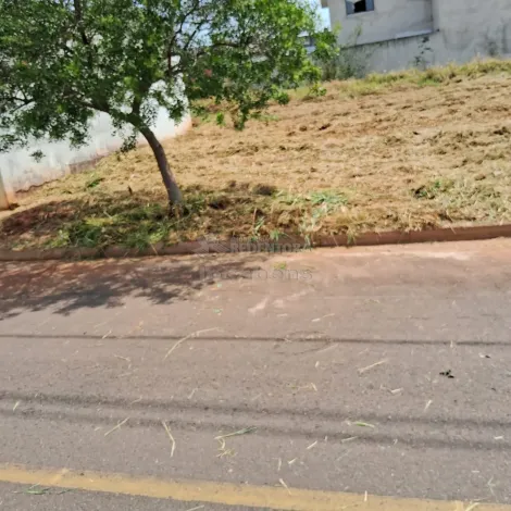 Comprar Terreno / Padr&atilde;o em S&atilde;o Jos&eacute; do Rio Preto R$ 135.000,00 - Foto 4