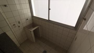 Alugar Apartamento / Padr&atilde;o em S&atilde;o Jos&eacute; do Rio Preto R$ 800,00 - Foto 3