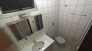 Alugar Apartamento / Padr&atilde;o em S&atilde;o Jos&eacute; do Rio Preto R$ 800,00 - Foto 9