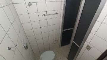 Alugar Apartamento / Padr&atilde;o em S&atilde;o Jos&eacute; do Rio Preto R$ 800,00 - Foto 12
