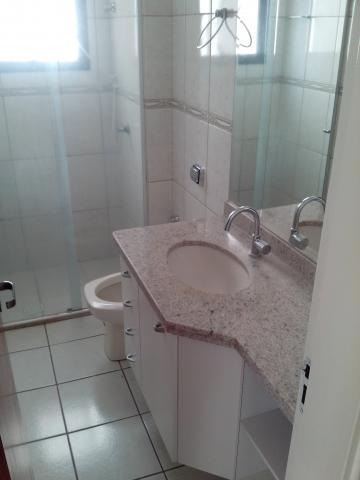 Alugar Apartamento / Padr&atilde;o em S&atilde;o Jos&eacute; do Rio Preto R$ 1.250,00 - Foto 5