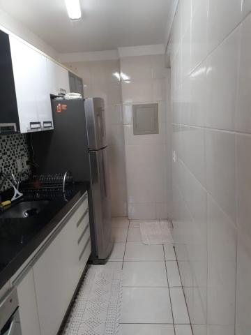 Alugar Apartamento / Padr&atilde;o em S&atilde;o Jos&eacute; do Rio Preto R$ 860,00 - Foto 4