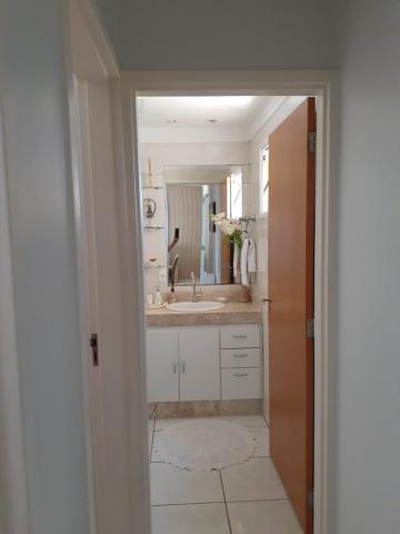 Alugar Apartamento / Padr&atilde;o em S&atilde;o Jos&eacute; do Rio Preto R$ 860,00 - Foto 10