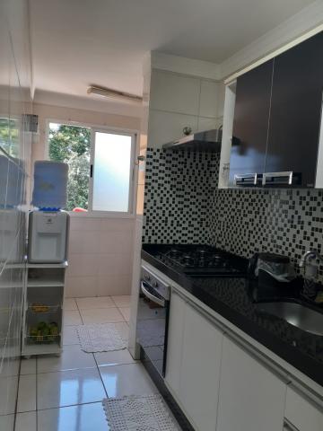 Alugar Apartamento / Padr&atilde;o em S&atilde;o Jos&eacute; do Rio Preto R$ 860,00 - Foto 3