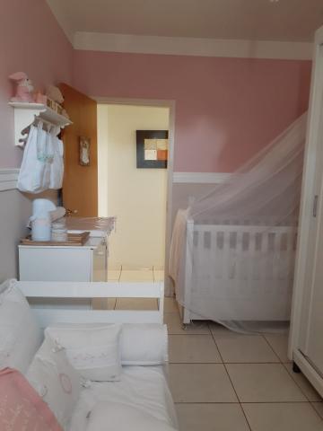 Alugar Apartamento / Padr&atilde;o em S&atilde;o Jos&eacute; do Rio Preto R$ 860,00 - Foto 9