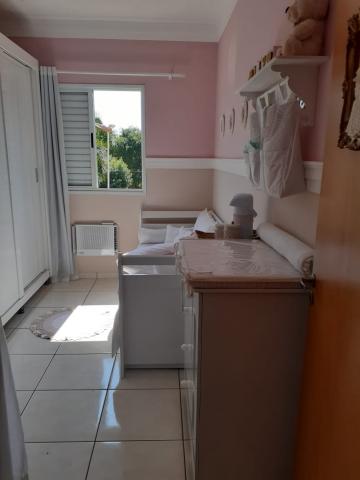 Alugar Apartamento / Padr&atilde;o em S&atilde;o Jos&eacute; do Rio Preto R$ 860,00 - Foto 8