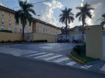 Alugar Apartamento / Padr&atilde;o em S&atilde;o Jos&eacute; do Rio Preto R$ 860,00 - Foto 13