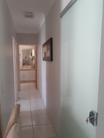 Alugar Apartamento / Padr&atilde;o em S&atilde;o Jos&eacute; do Rio Preto R$ 860,00 - Foto 5