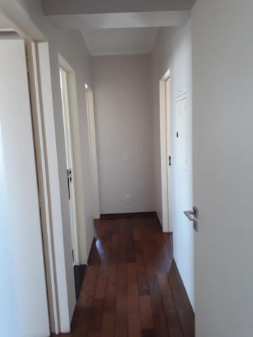 Alugar Apartamento / Padr&atilde;o em S&atilde;o Jos&eacute; do Rio Preto R$ 1.900,00 - Foto 13