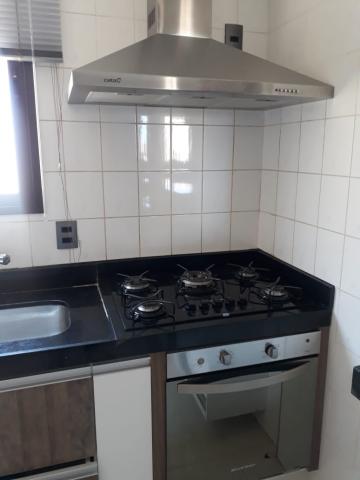Alugar Apartamento / Padr&atilde;o em S&atilde;o Jos&eacute; do Rio Preto R$ 1.900,00 - Foto 23