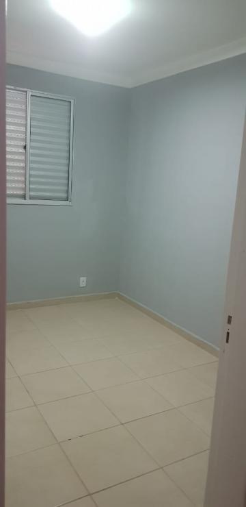 Alugar Apartamento / Padr&atilde;o em S&atilde;o Jos&eacute; do Rio Preto. apenas R$ 870,00