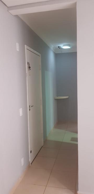 Alugar Apartamento / Padr&atilde;o em S&atilde;o Jos&eacute; do Rio Preto R$ 870,00 - Foto 3