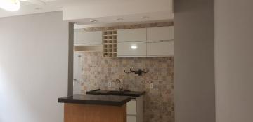 Alugar Apartamento / Padr&atilde;o em S&atilde;o Jos&eacute; do Rio Preto R$ 870,00 - Foto 9