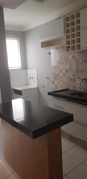 Alugar Apartamento / Padr&atilde;o em S&atilde;o Jos&eacute; do Rio Preto R$ 870,00 - Foto 10