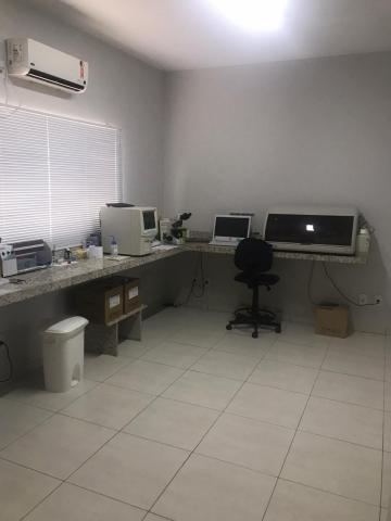 Alugar Casa / Padr&atilde;o em S&atilde;o Jos&eacute; do Rio Preto R$ 2.500,00 - Foto 8
